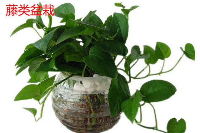 鄭州裝飾公司領(lǐng)軍品牌 房屋裝修風(fēng)水禁忌知多少